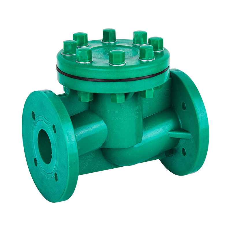 FRPP H41F-10S 升降式止回閥 DN40-80國標(biāo)